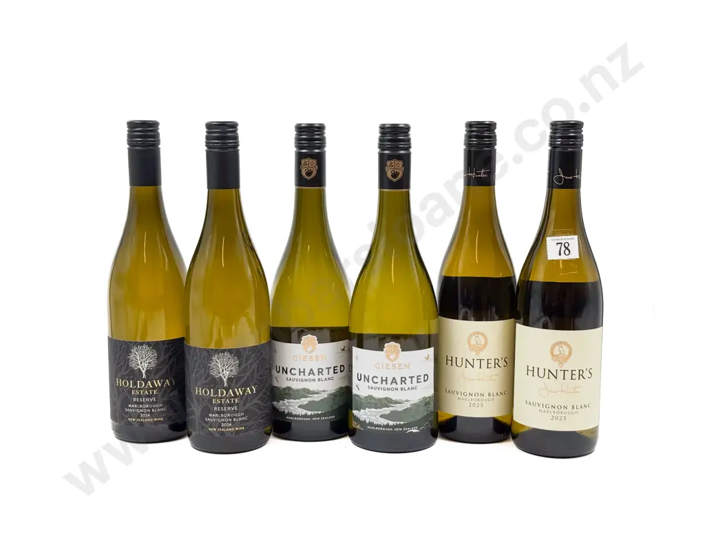 NZ Six Assorted Sauvignon Blanc Image 1++
