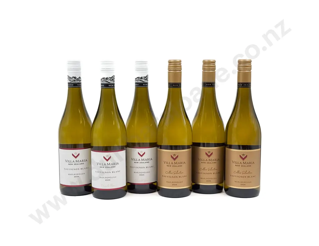 NZ Six Assorted Sauvignon Blanc Image 1++
