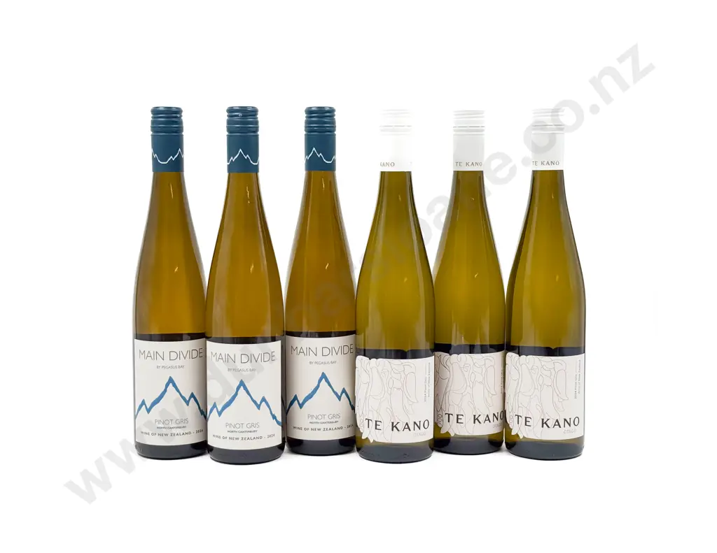 NZ Six Assorted Pinot Gris Image 1++