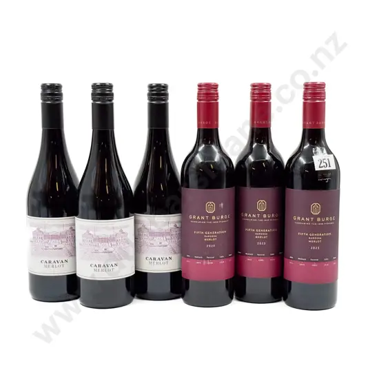 AUST Six Assorted Merlot