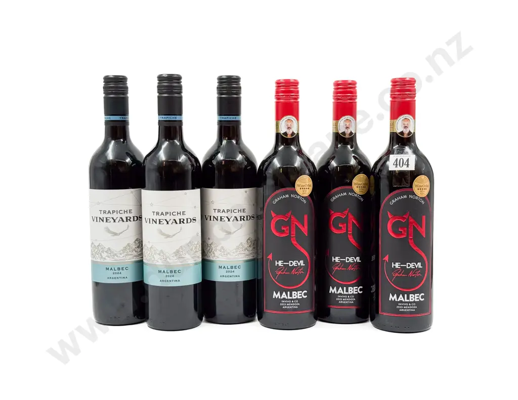 ARGENTINA Six Assorted Malbec Image 1++