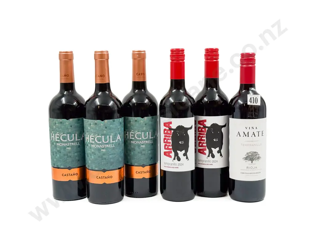 SPAIN Six Assorted Red Blends Image 1++