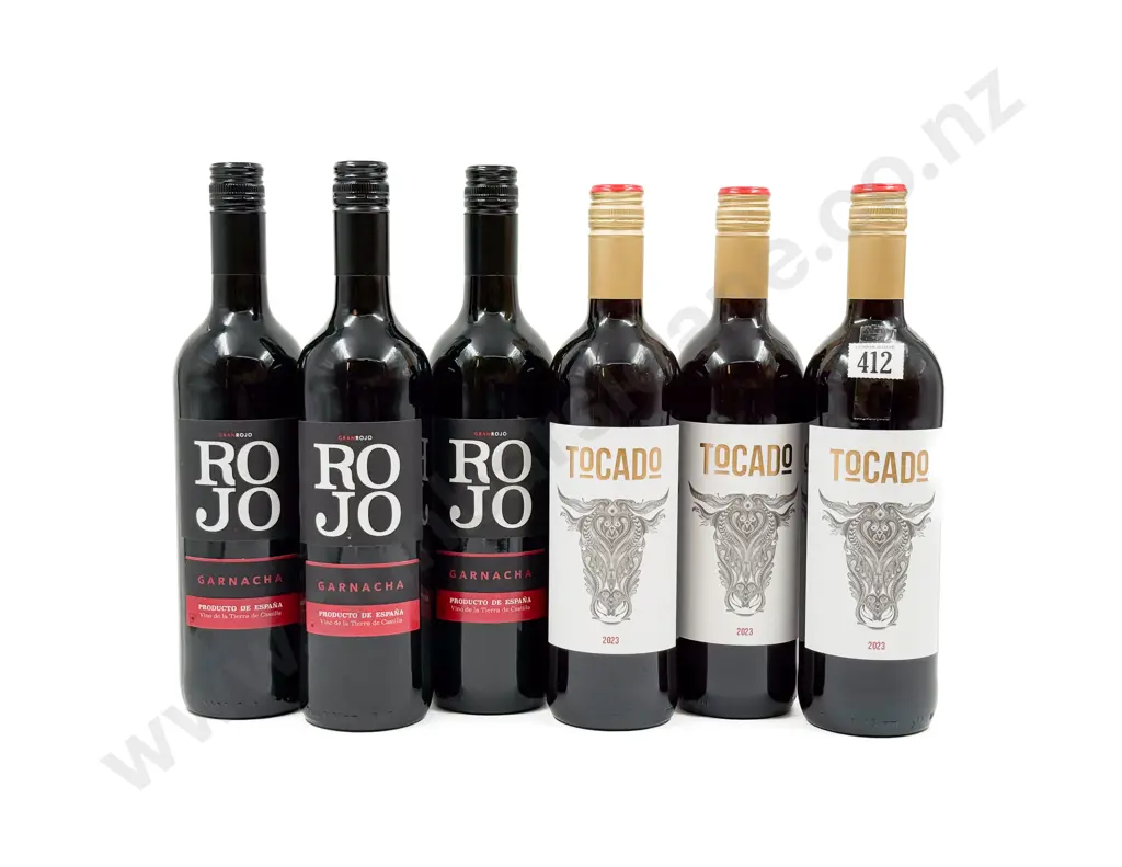 SPAIN Six Assorted Red Blends Image 1++