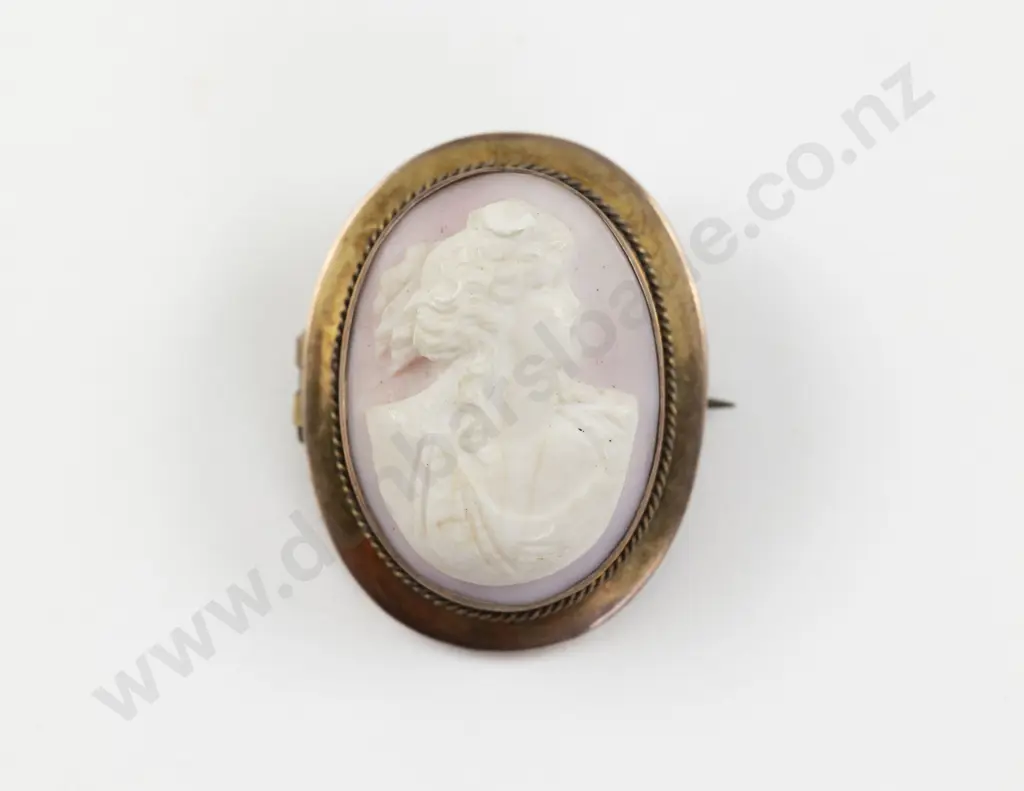 9ct Framed Classic Portrait Cameo Brooch Image 1++