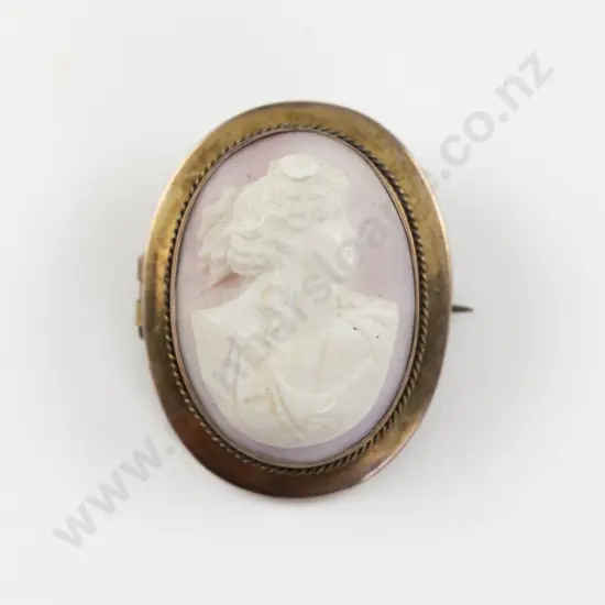 9ct Framed Classic Portrait Cameo Brooch