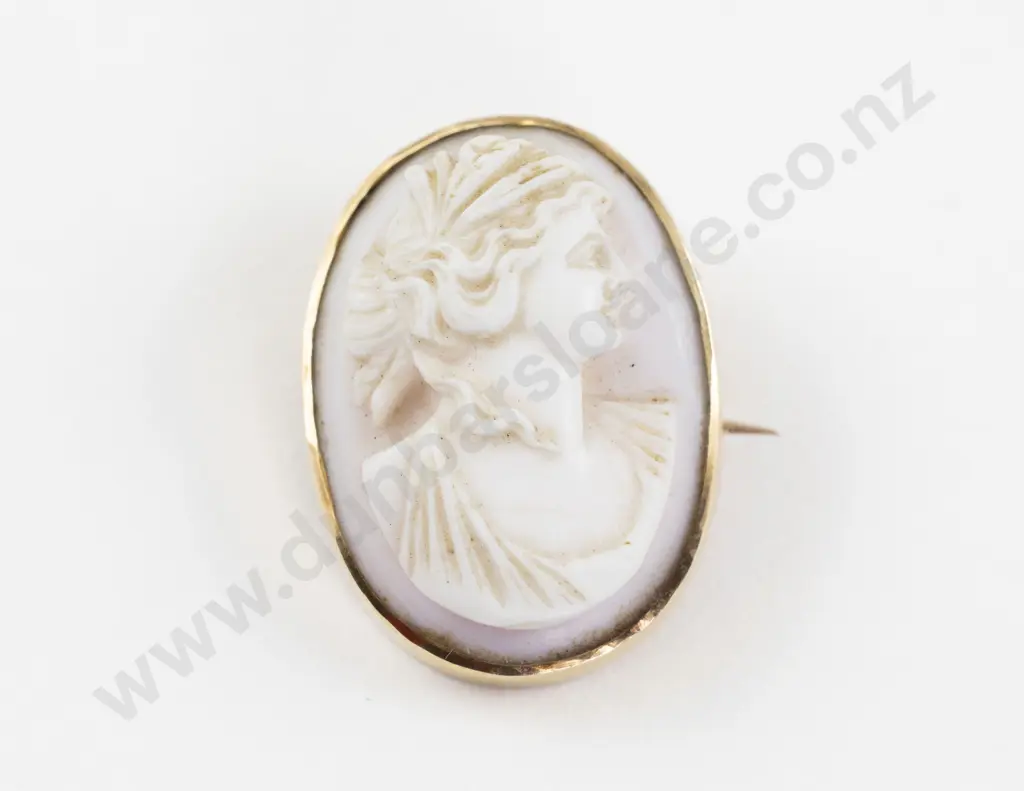 18ct Framed Classical Portrait Cameo Brooch Image 1++