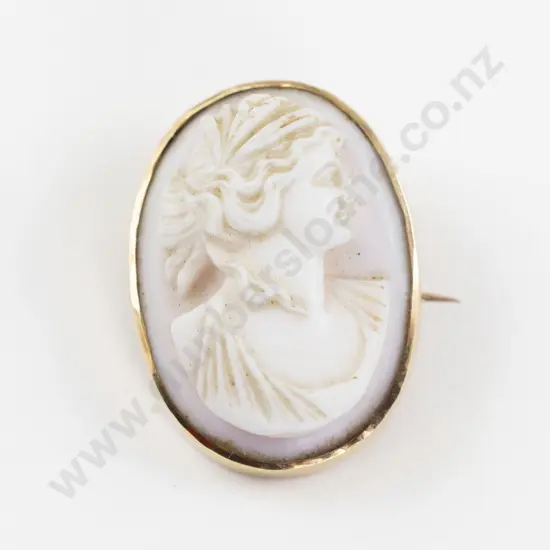 18ct Framed Classical Portrait Cameo Brooch