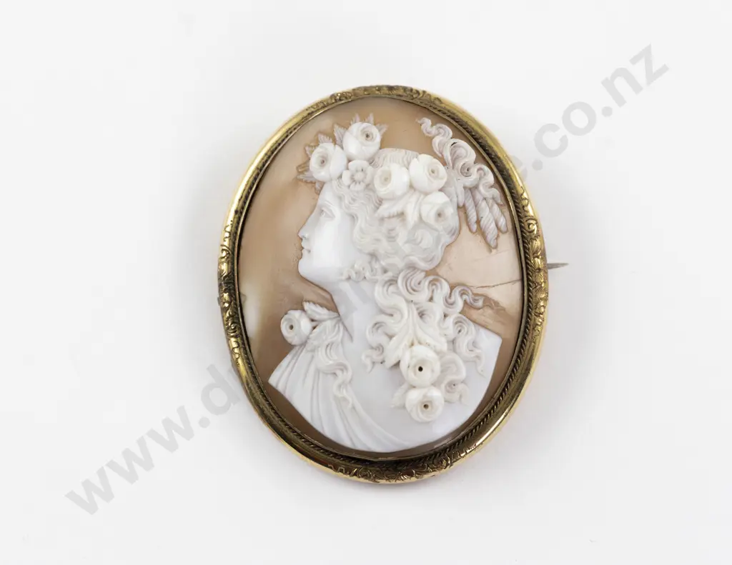 Gold Plated Framed Classical Portrait Cameo Brooch Image 1++