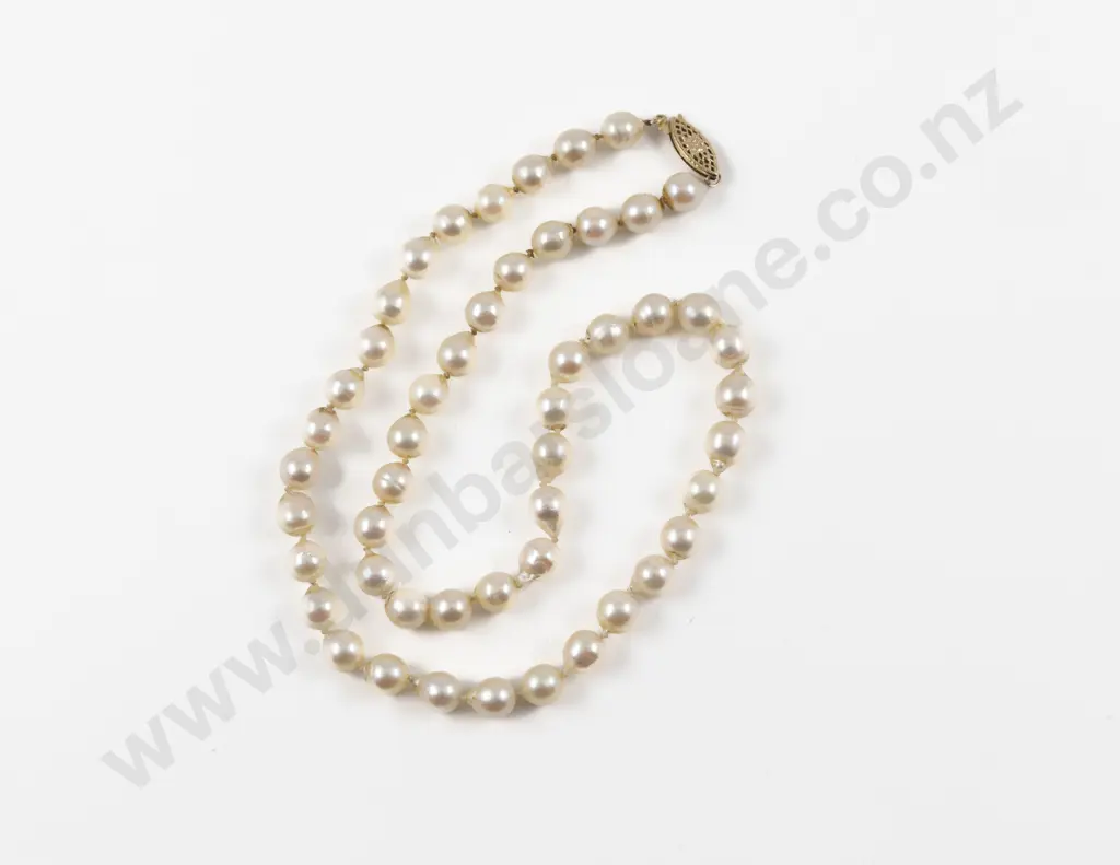 Single Strand Uniform Fresh Water Pearl Necklace Image 1++