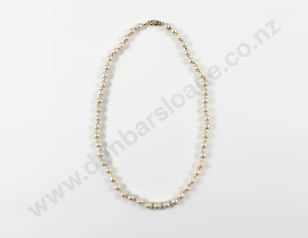 Single Strand Uniform Fresh Water Pearl Necklace Image 1++
