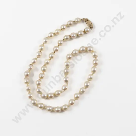 Single Strand Uniform Fresh Water Pearl Necklace