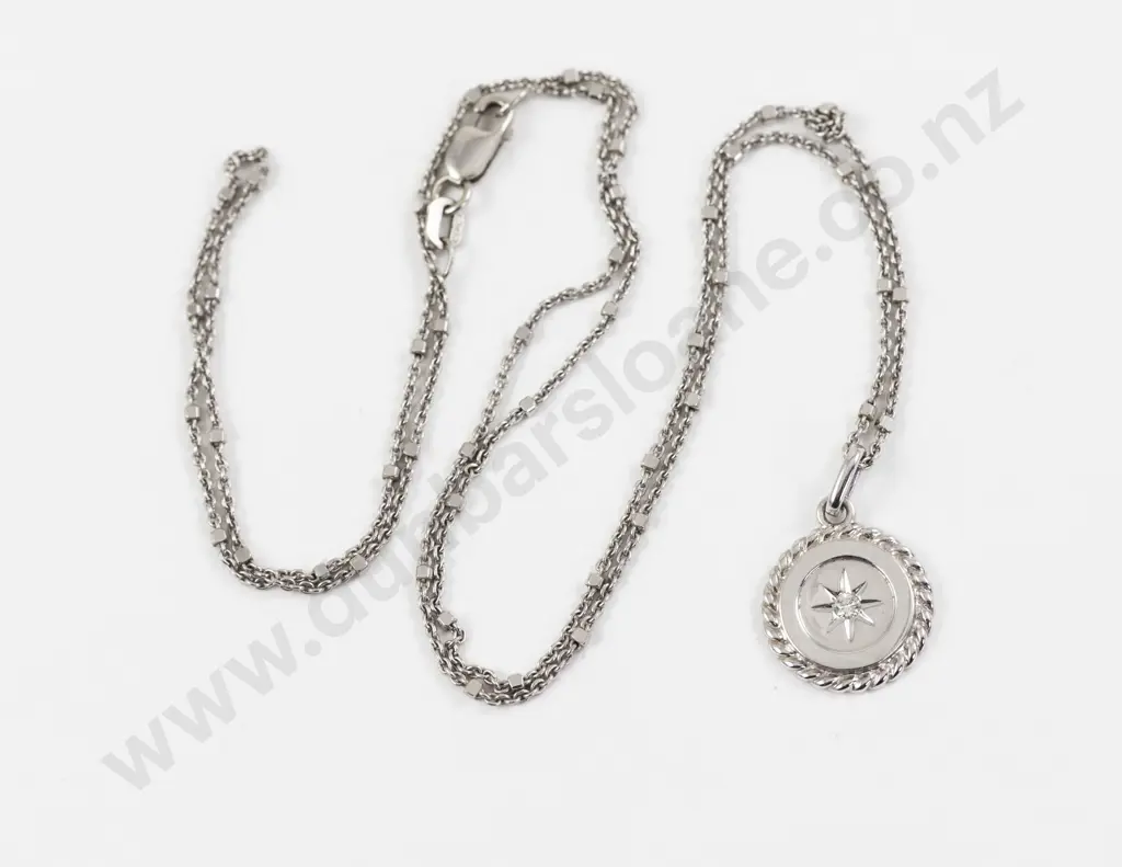 9ct White Gold Single Diamond Willow Bank Disc Pendant Image 1++