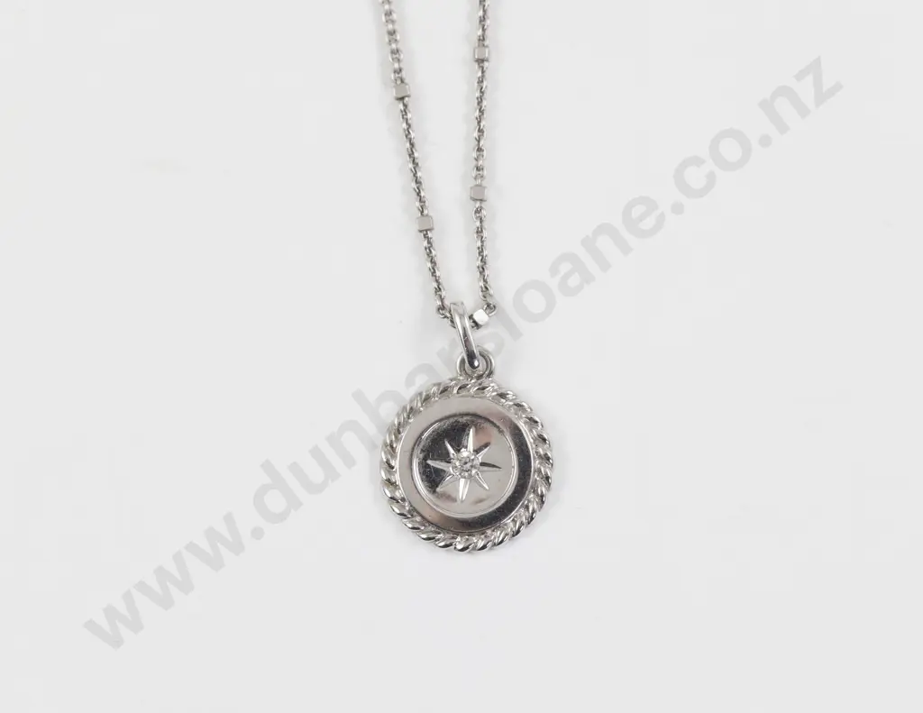 9ct White Gold Single Diamond Willow Bank Disc Pendant Image 1++