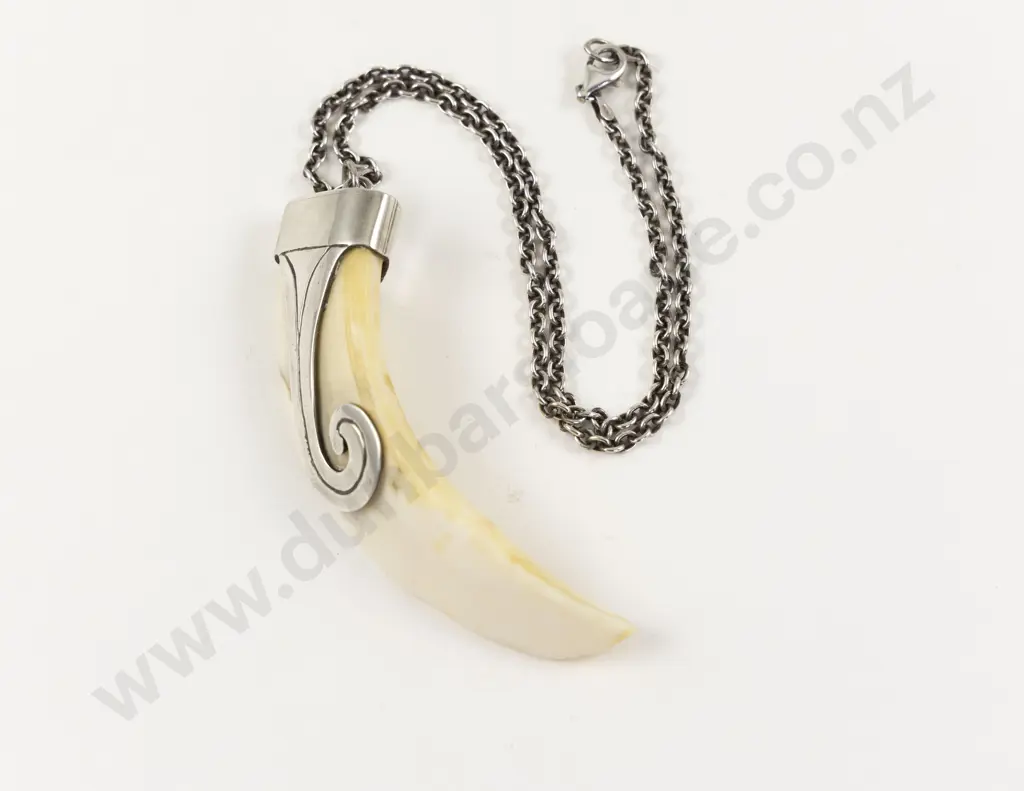 Silver Mounted Boar Tusk Pendant on S/S Neck Chain Image 1++