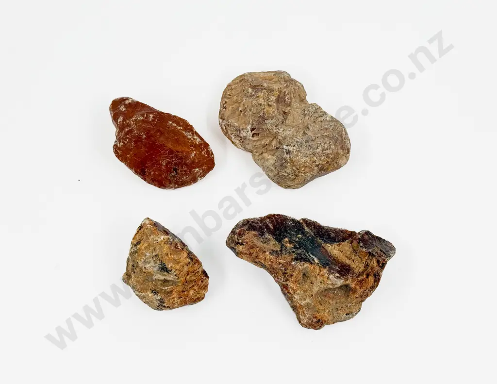 Four Pieces of Kauri Gum Image 1++