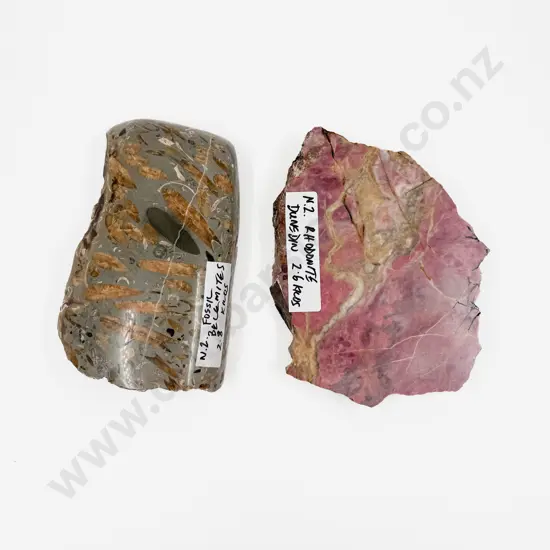 NZ Rhodonite Slab with NZ Belemites Fossil Slab