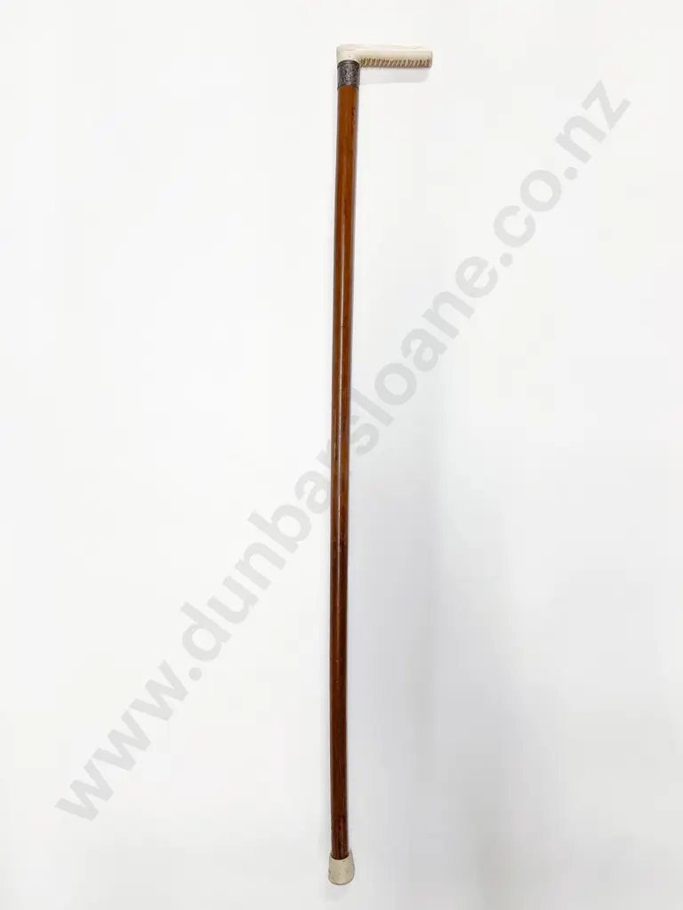 Ivory S/S Collar Walking Stick Image 1++