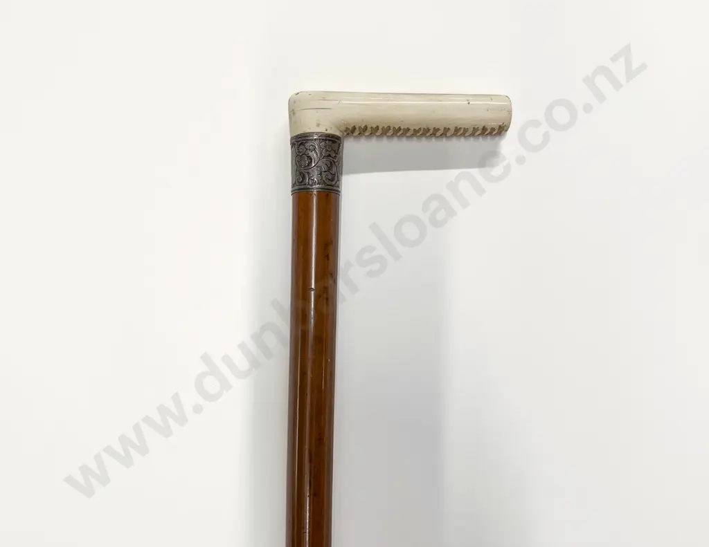 Ivory S/S Collar Walking Stick Image 1++