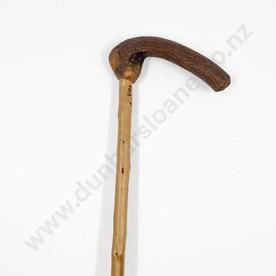 Signed Hand Carved Coiled Snake Walking Stick