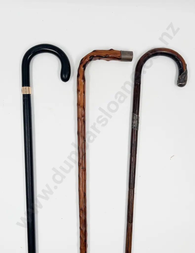 Three Vintage Walking Sticks Image 1++