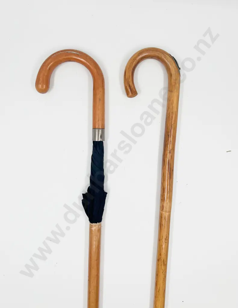 Two Walking Stick Incasing Horse Measure and Umbrella (tip of Umbrella stick missing) Image 1++