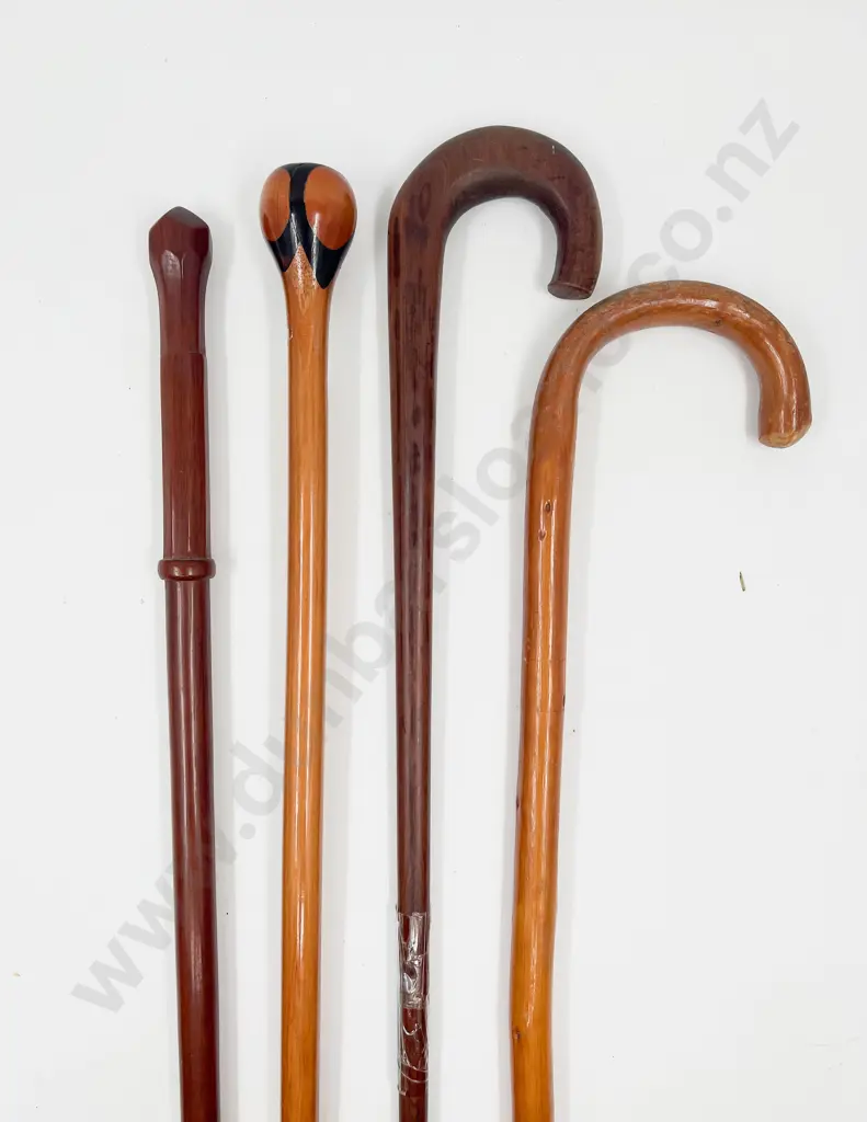 Four Various Walking Sticks Image 1++