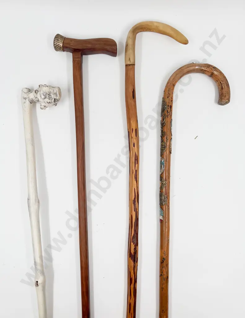 Four Assorted Walking Sticks Image 1++