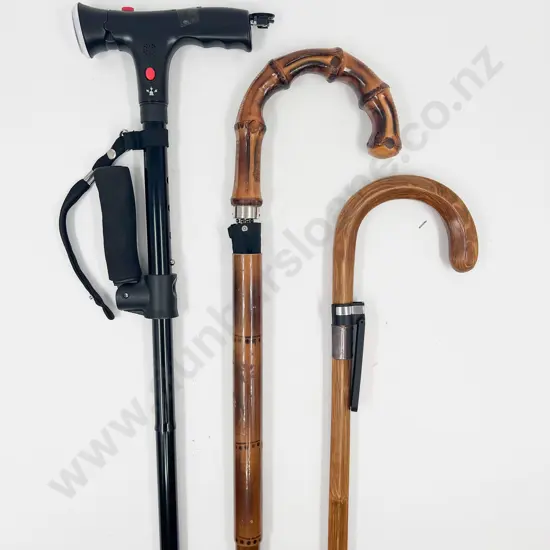 Modern Battery Torch Walking Stick with Umbrella Stick and Other