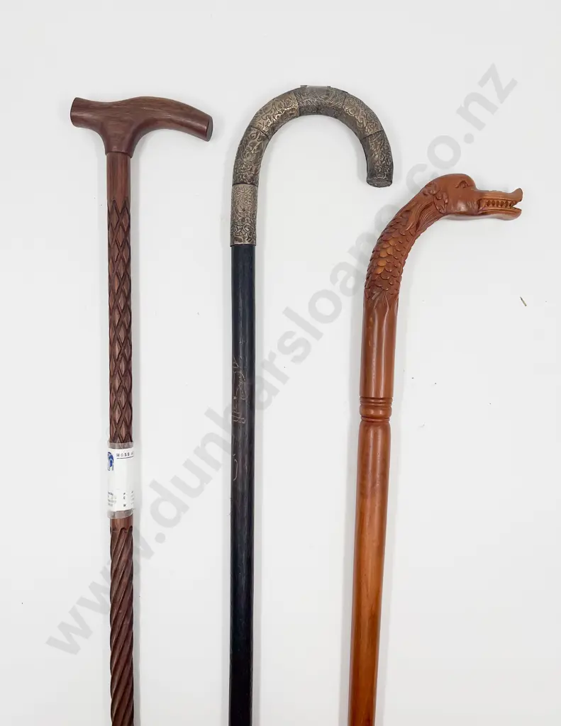 Three Various Walking Sticks Image 1++