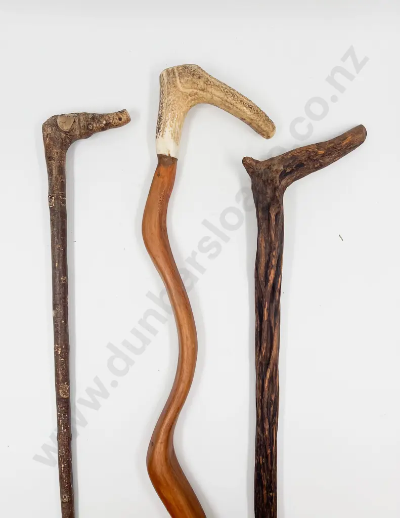 Three Natural Form and Antler Walking Sticks Image 1++