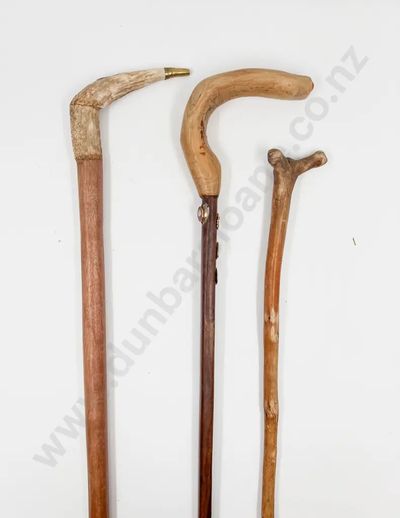 Three Various Walking Sticks Image 1++
