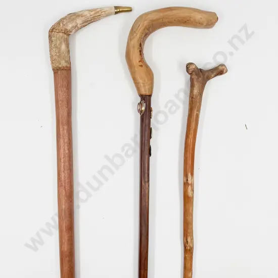 Three Various Walking Sticks