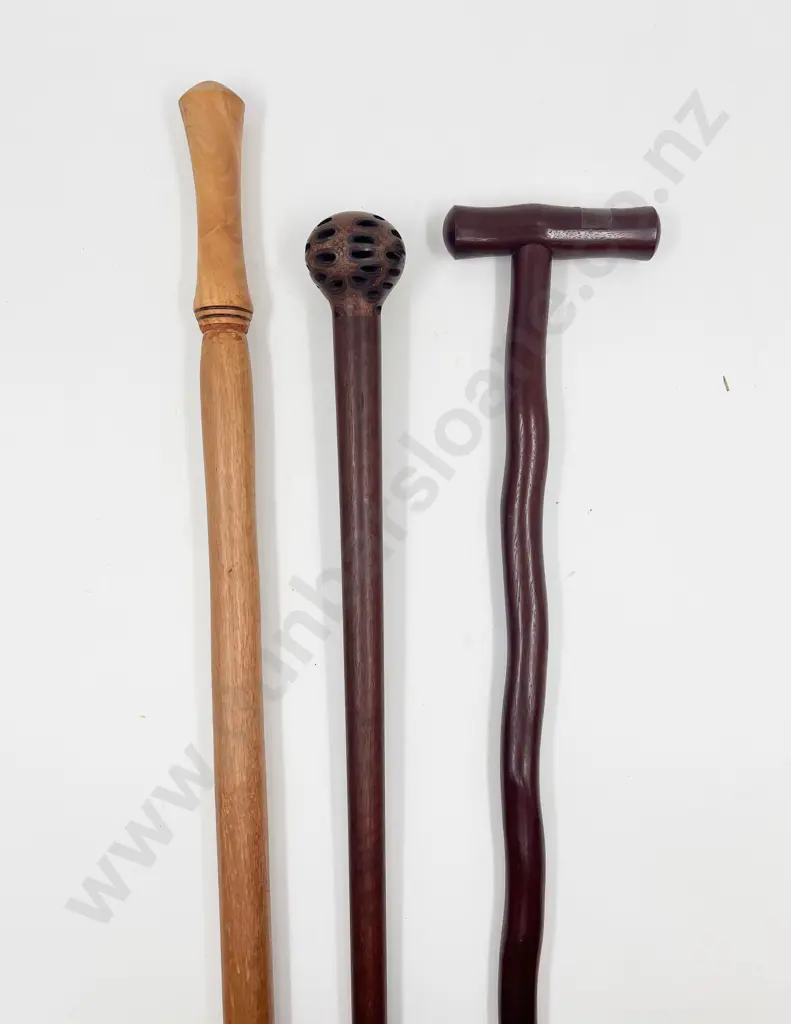 Three Various Walking Sticks Image 1++