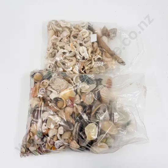 Quantity of Assorted Shells Etc