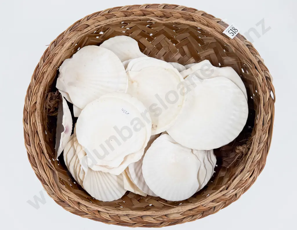 Woven Bag of Assorted Scallop Shells Image 1++