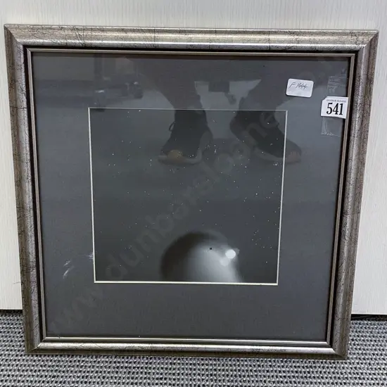 Unknown Artist - The Night Sky - Photographic Print