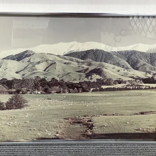 Three Fred Jolly NZ Farmscape Photographic Prints