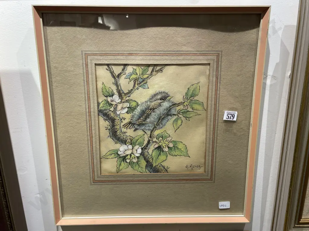 A. Aereg - Ornithological Study - Ink & Pastel on Paper Image 1++