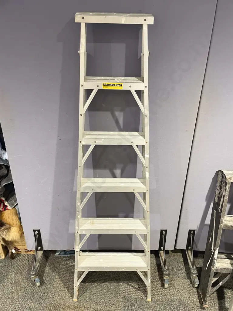 Aluminium Ladder Image 1++