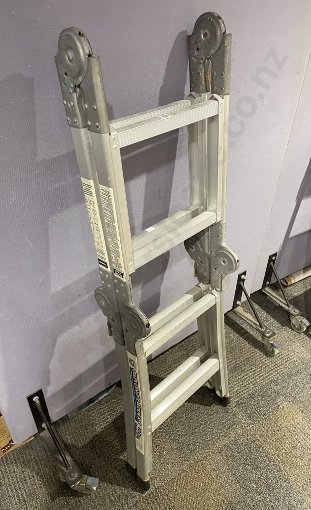 Geelong Ladders Locking Hinge Ladder Image 1++