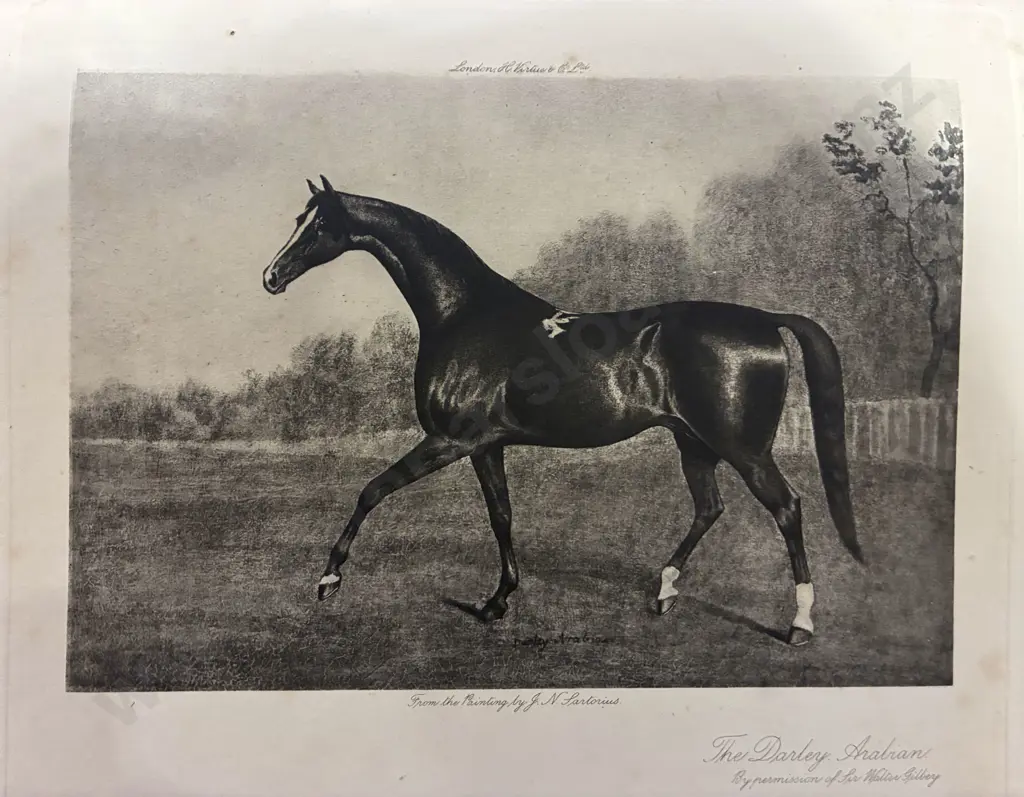 A History of the English Turf by T.A. Cook - Volumes 1 to 3 Image 1++