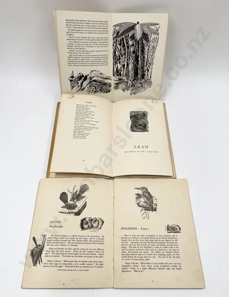 Three Assorted E. Mervyn Taylor Illustrated Volumes Image 1++