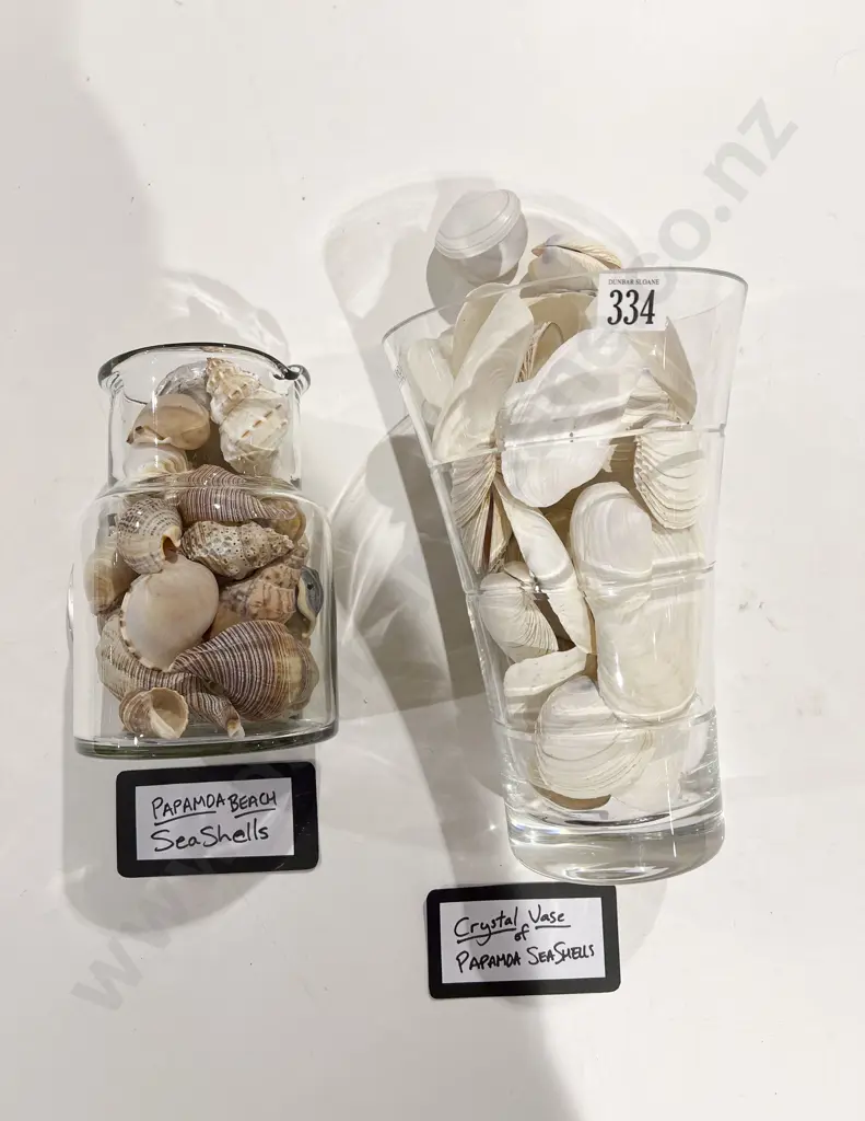 Quantity of Assorted Papamoa Seashells Image 1++