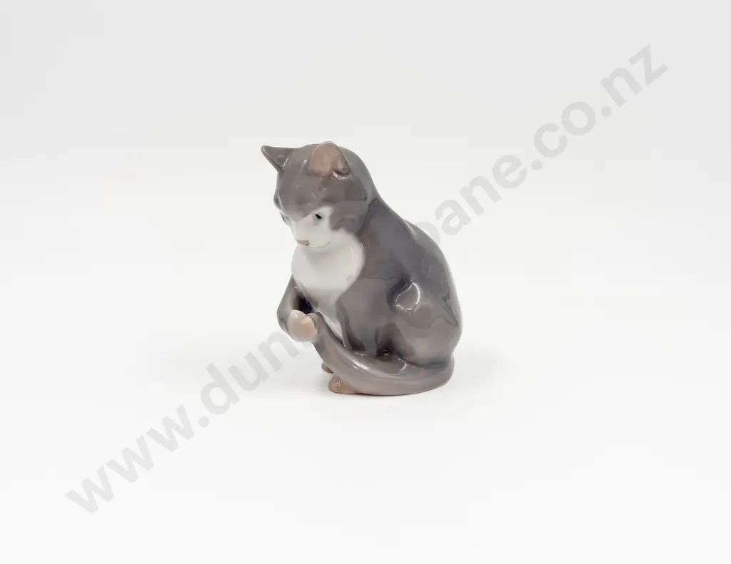 B & G Cat Image 1++