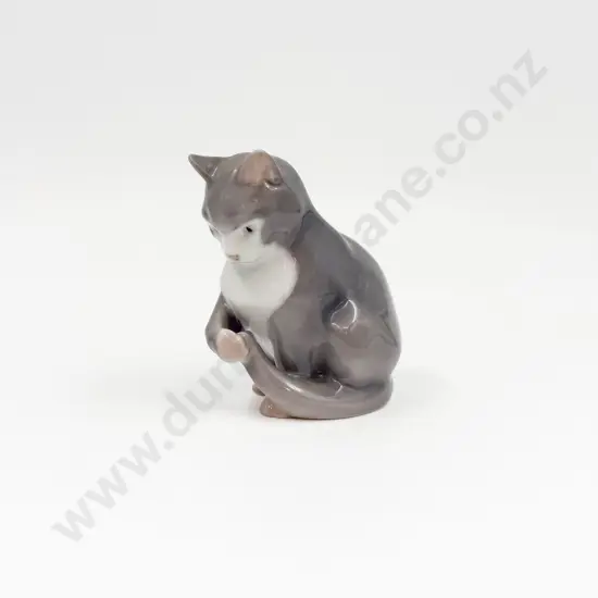 B & G Cat
