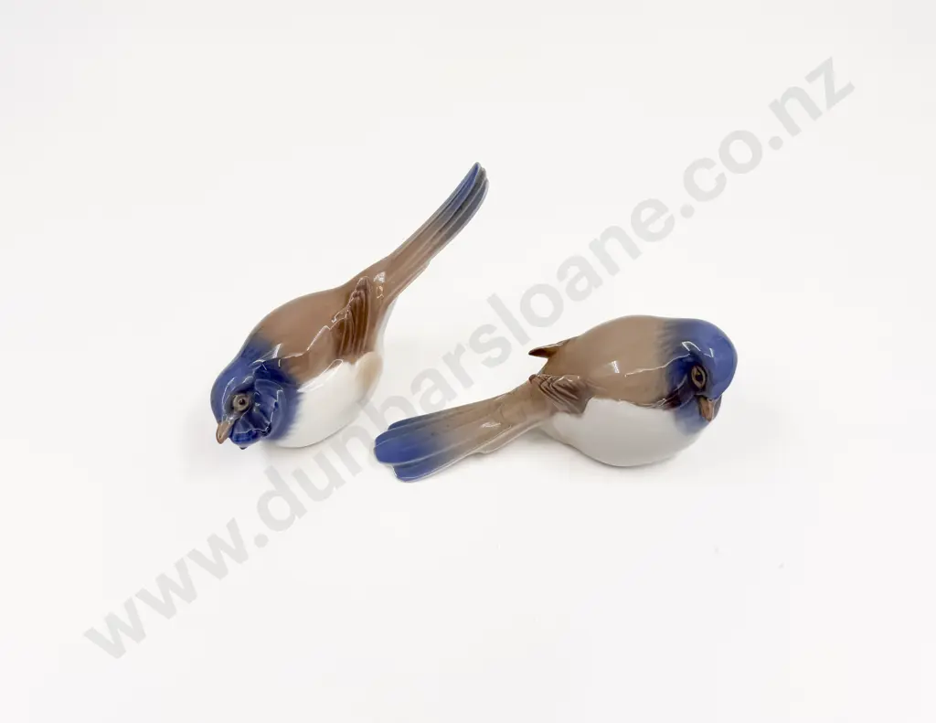 Two B & G Birds Image 1++