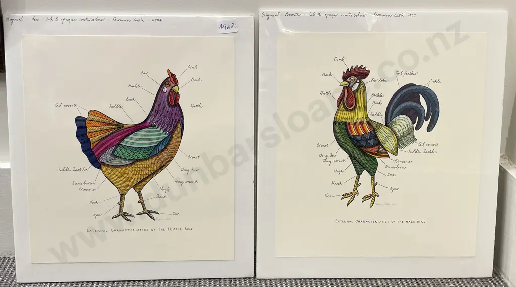Bronwen Little - Pair of Unframed Chicken Studies - Ink & Watercolour Image 1++