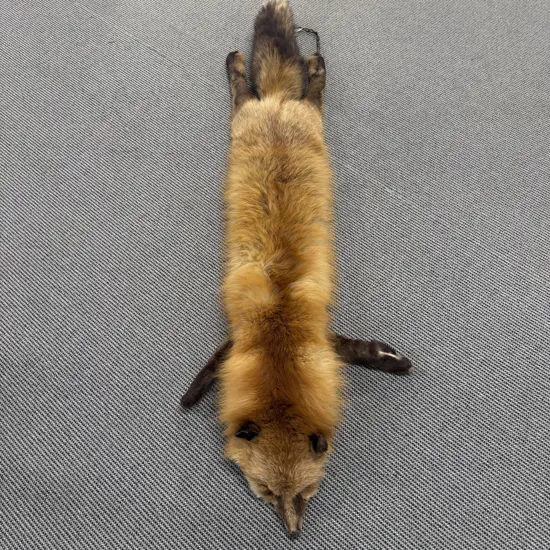 Red Fox Fur Wrap