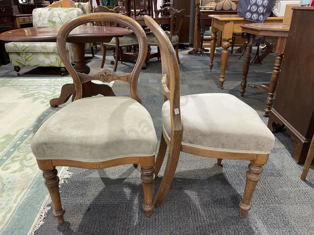 Pair of Victorian Walnut Balloon Back Dining Chairs Image 1++