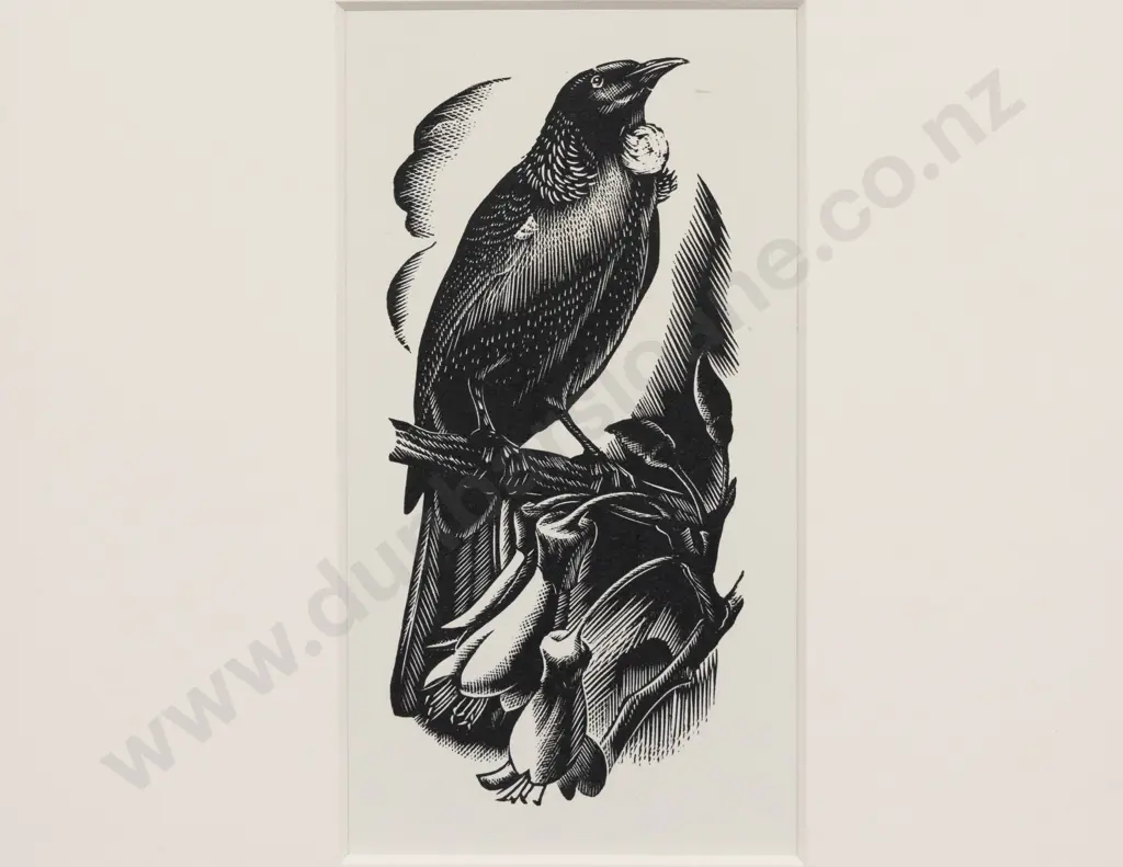 E Mervyn Taylor - Tui Image 1++